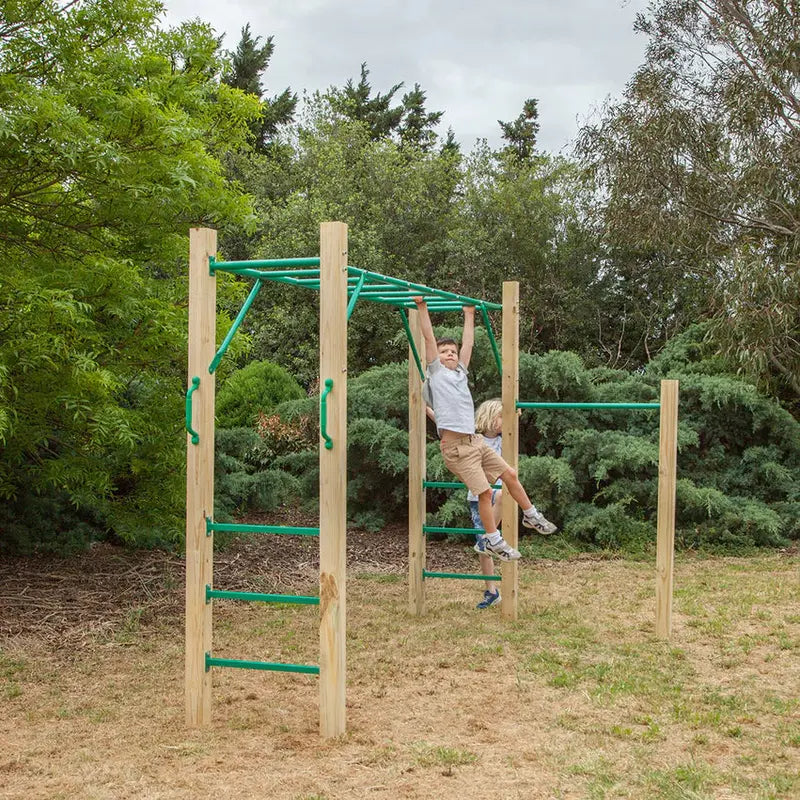 Lifespan Kids 2.5m Monkey Bars Outdoor Play Set For Children - Amazon