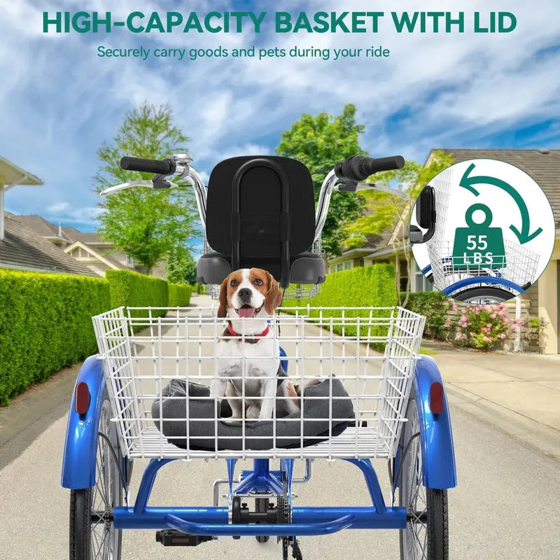 Adult 3-Wheel Pedal Tricycle, 24 And 26 Inch, 7-Speed