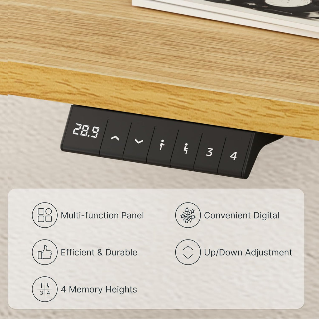 FLEXISPOT Electric Standing Desk With Whole-Piece Desktop - EN1