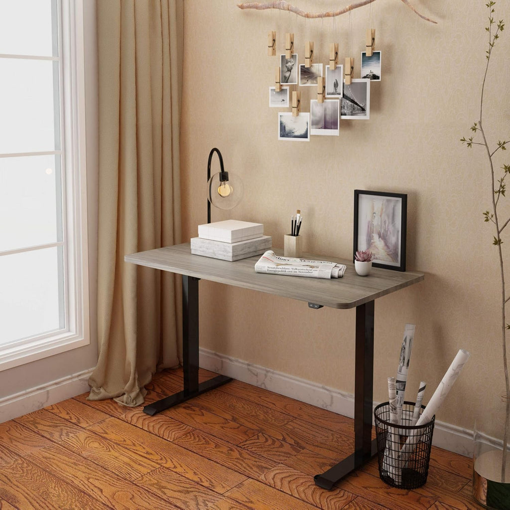 FLEXISPOT Electric Standing Desk With Whole-Piece Desktop - EN1
