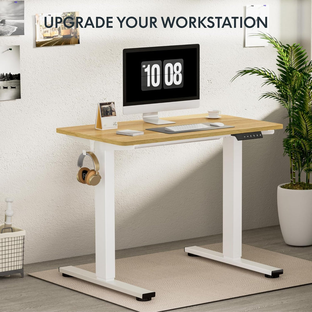 FLEXISPOT Electric Standing Desk With Whole-Piece Desktop - EN1