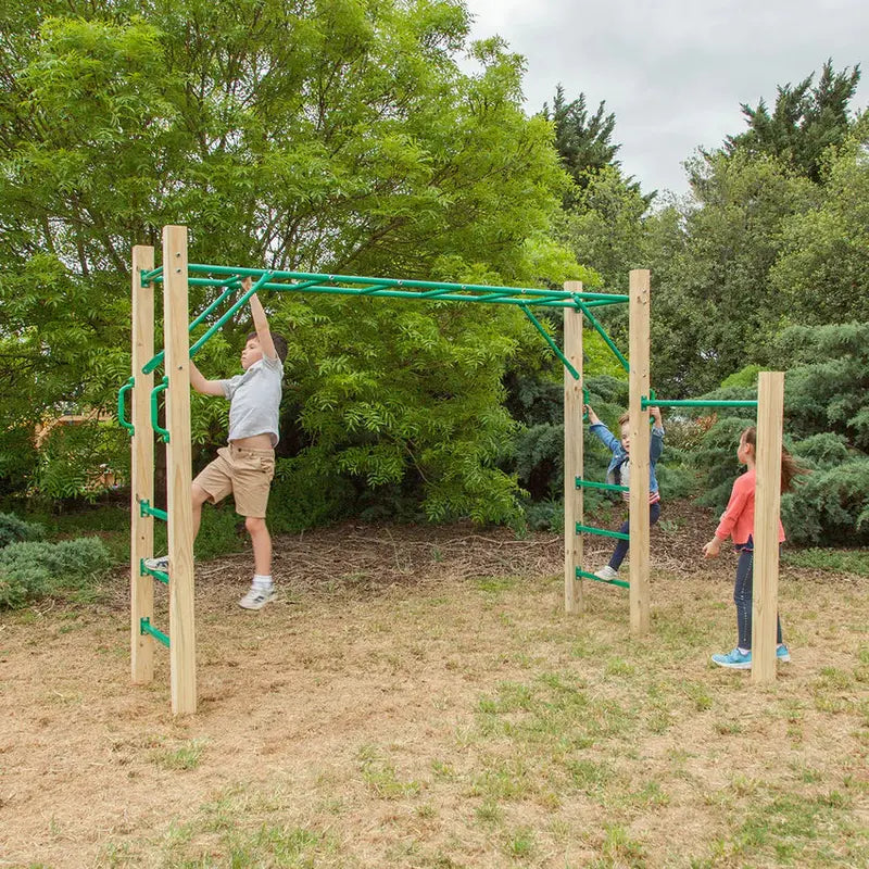 Lifespan Kids 2.5m Monkey Bars Outdoor Play Set For Children - Amazon