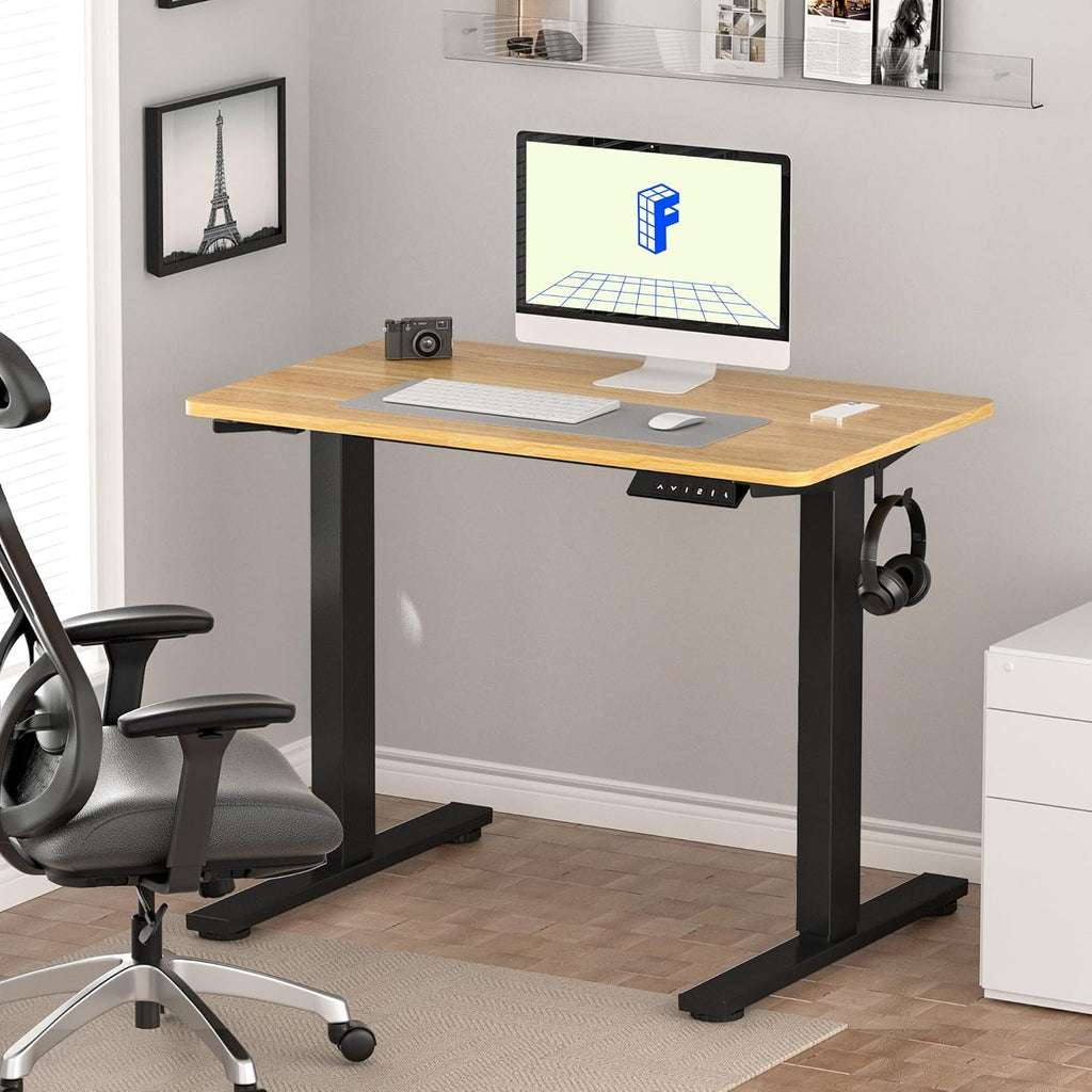 FLEXISPOT Electric Standing Desk With Whole-Piece Desktop - EN1