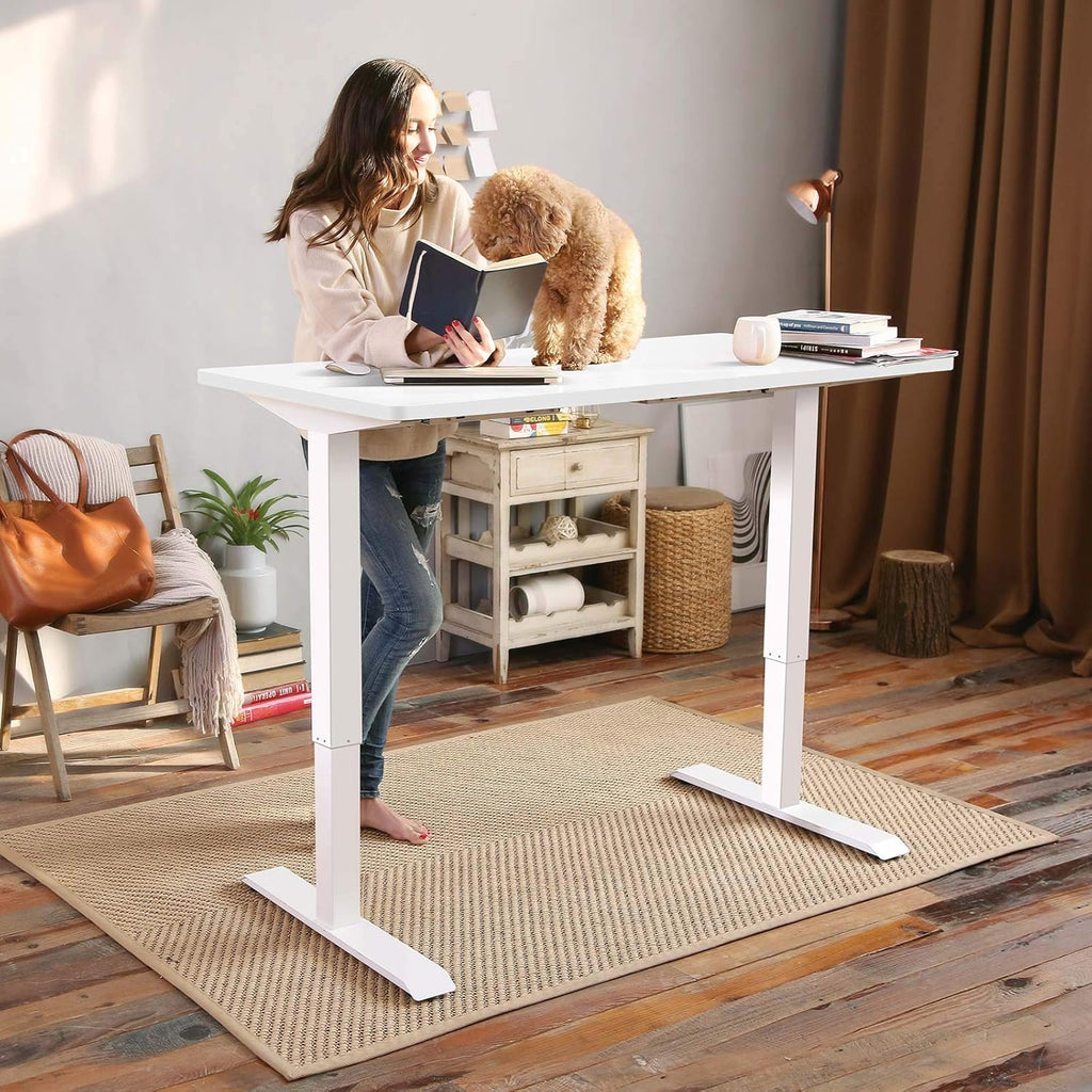 FLEXISPOT Electric Standing Desk With Whole-Piece Desktop - EN1