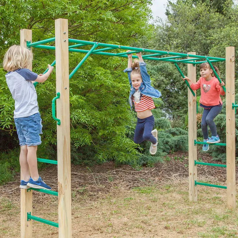 Lifespan Kids 2.5m Monkey Bars Outdoor Play Set For Children - Amazon