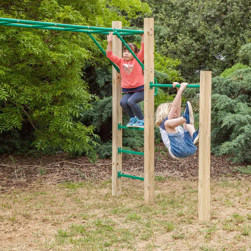 Lifespan Kids 2.5m Monkey Bars Outdoor Play Set For Children - Amazon