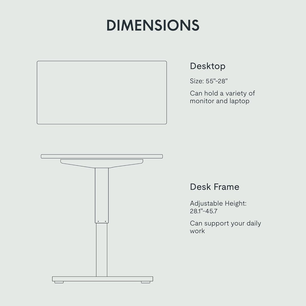 FLEXISPOT Electric Standing Desk With Whole-Piece Desktop - EN1