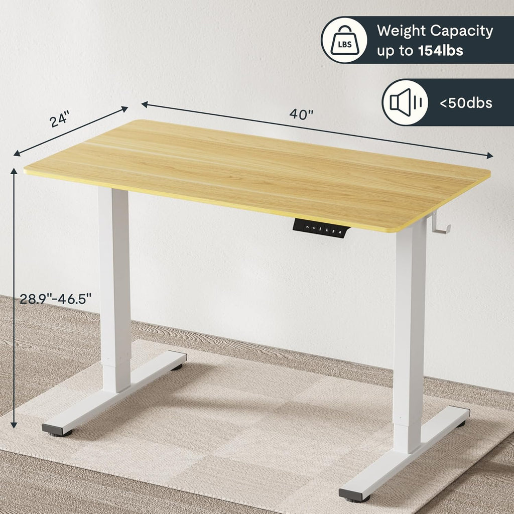 FLEXISPOT Electric Standing Desk With Whole-Piece Desktop - EN1