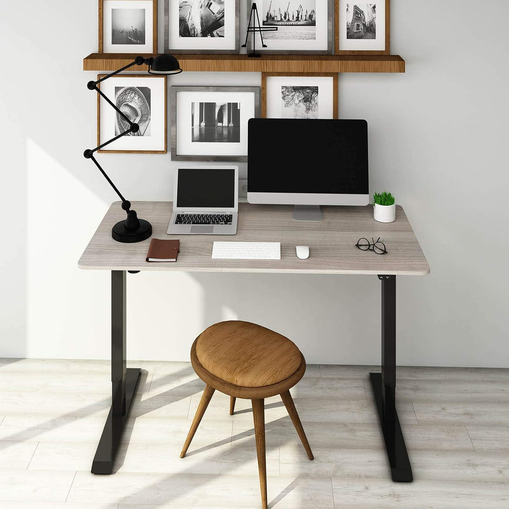 FLEXISPOT Electric Standing Desk With Whole-Piece Desktop - EN1